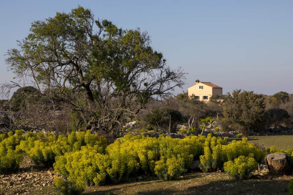 Apartmani Cres Punta Križa