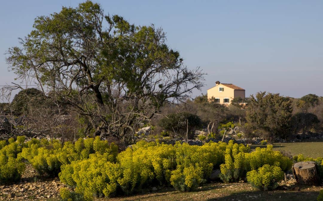 Apartmani Cres Punta Križa