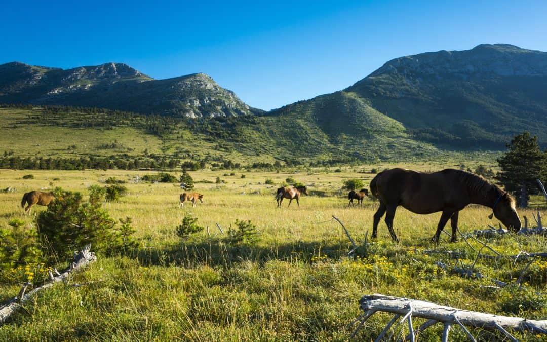 Apartmani Kuterevo